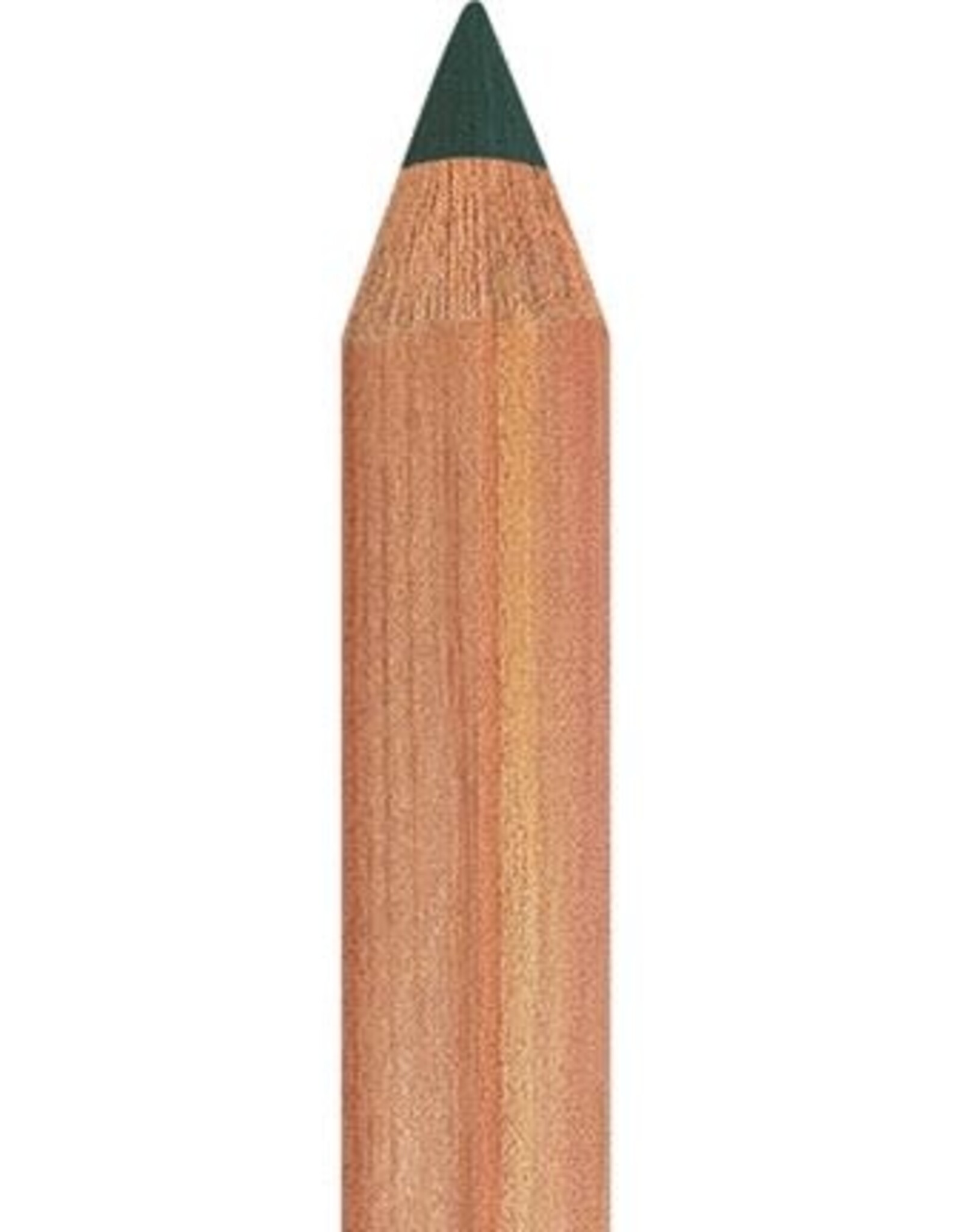 Faber Castell Faber Castell - Pitt - Pastel potlood - Juniper green 165