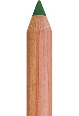 Faber Castell Faber Castell - Pitt - Pastel potlood - Permanent green olive  167