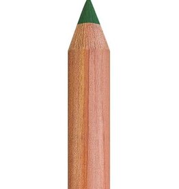 Faber Castell Faber Castell - Pitt - Pastel potlood - Permanent green olive  167