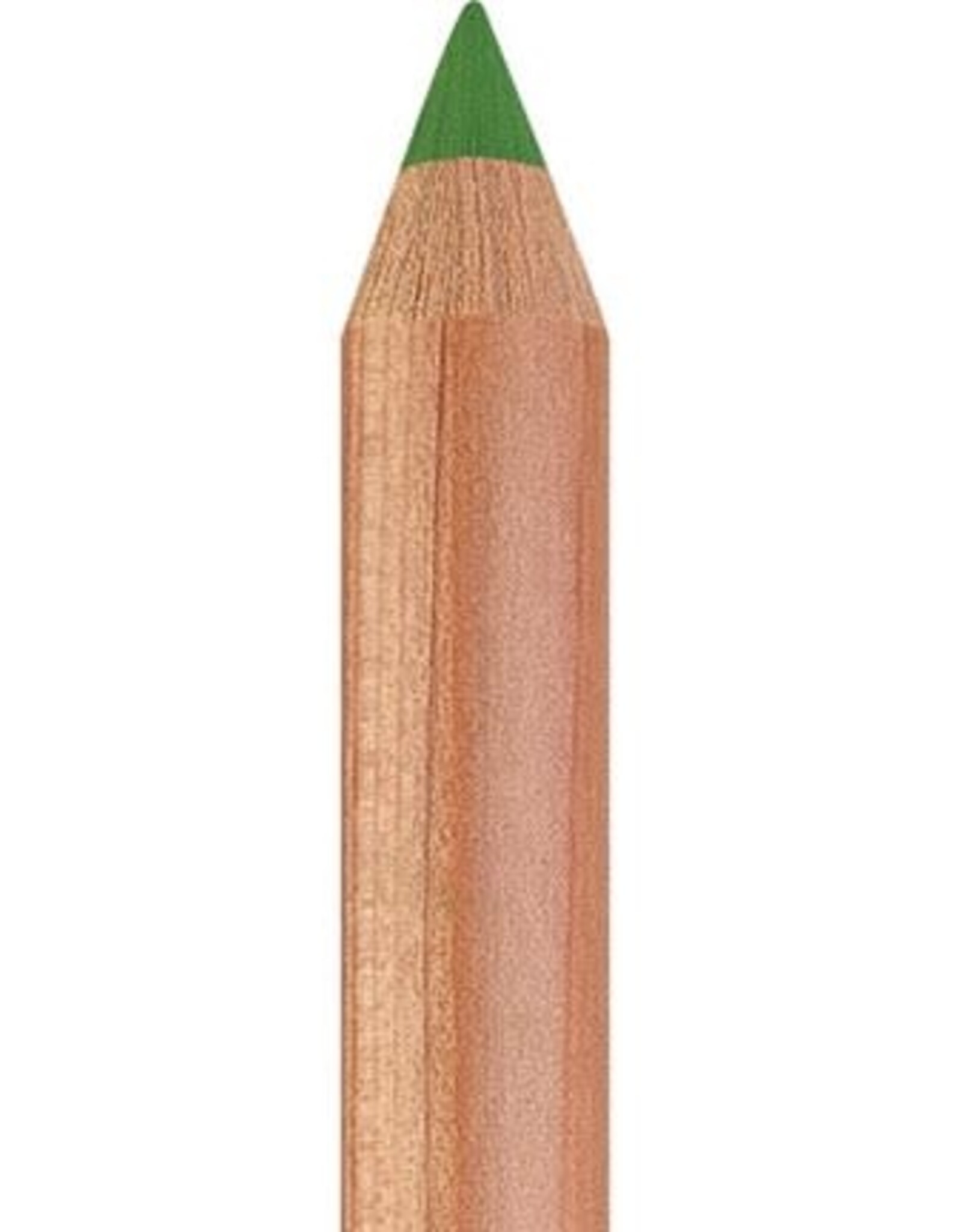 Faber Castell Faber Castell - Pitt - Pastel potlood - Earth green yellowish  168