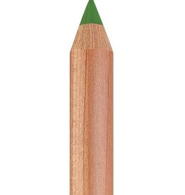 Faber Castell Faber Castell - Pitt - Pastel potlood - Earth green yellowish  168