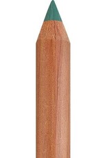 Faber Castell Faber Castell - Pitt - Pastel potlood - Earth green  172