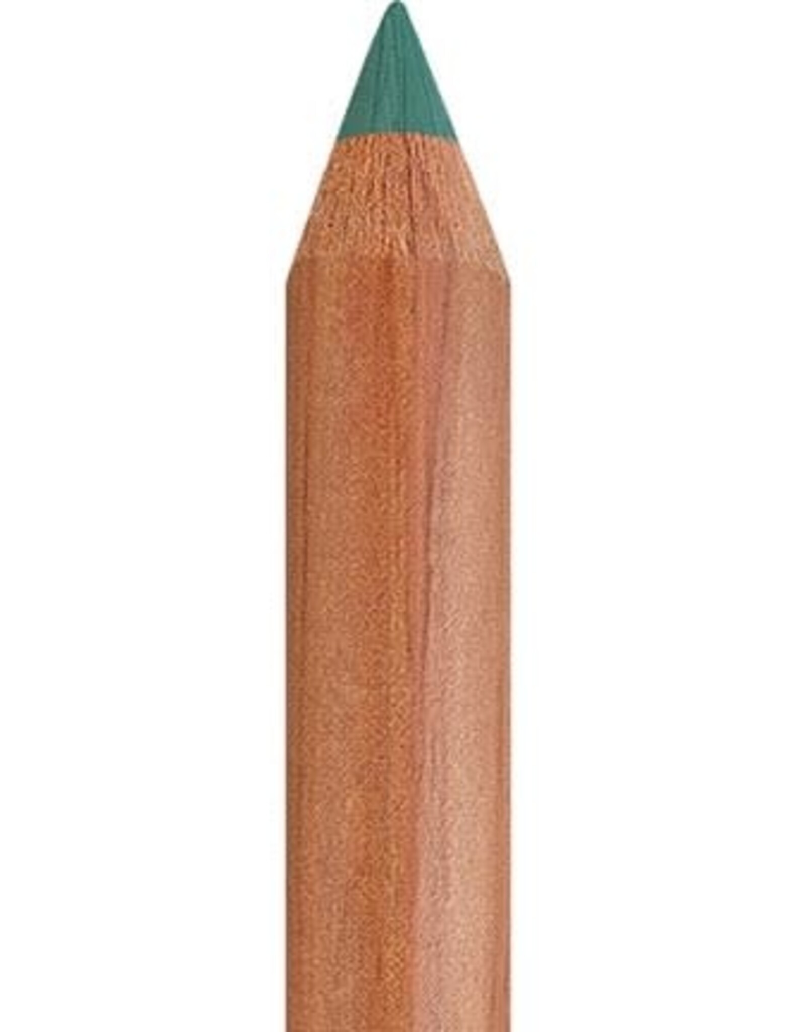 Faber Castell Faber Castell - Pitt - Pastel potlood - Earth green  172
