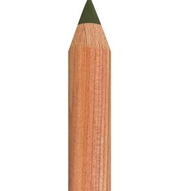 Faber Castell Faber Castell - Pitt - Pastel potlood - Olive green yellowish 173