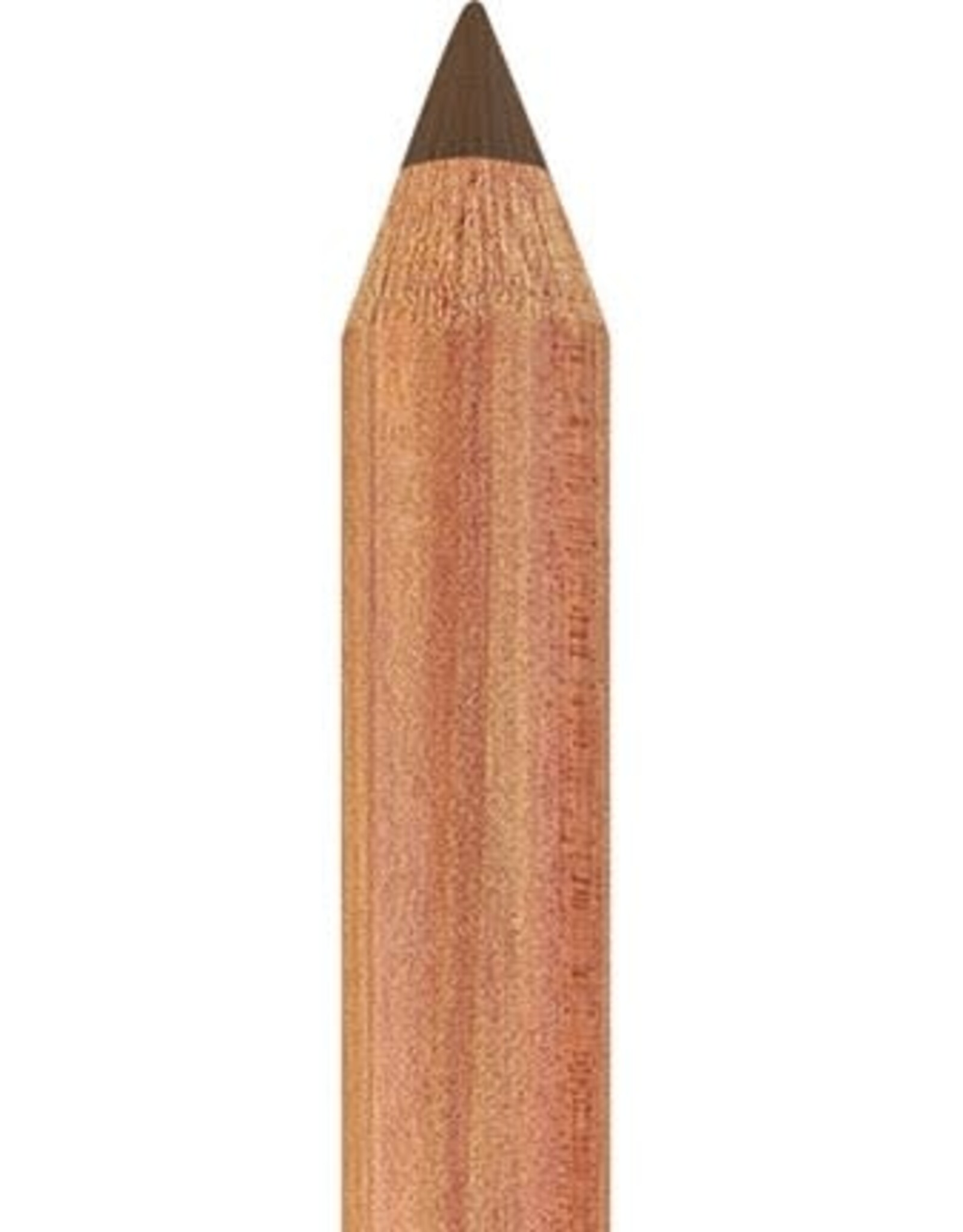 Faber Castell Faber Castell - Pitt - Pastel potlood - Bistre 179