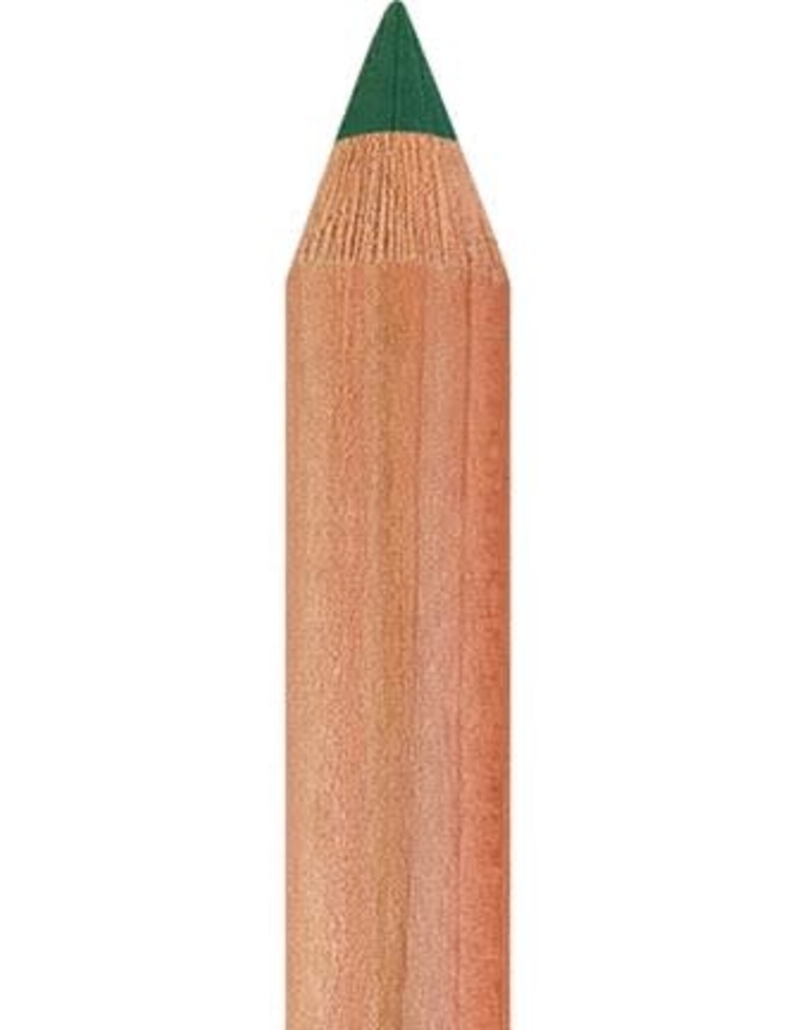 Faber Castell Faber Castell - Pitt - Pastel potlood - Pine green  267