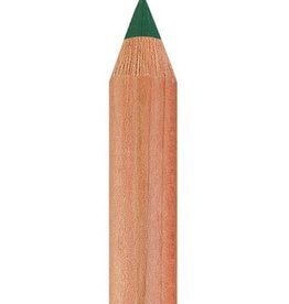 Faber Castell Faber Castell - Pitt - Pastel potlood - Pine green  267