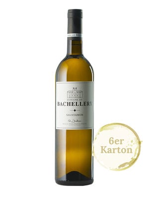 Sauvignon Bachellery 2023 (6er Karton)