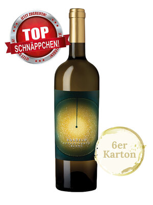 RONDEUR Blanc Appassimento 2021(6er Karton)