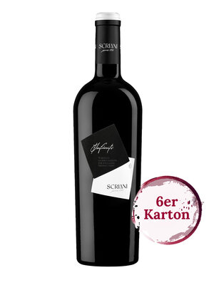 Infinito 2022 (6er Karton)