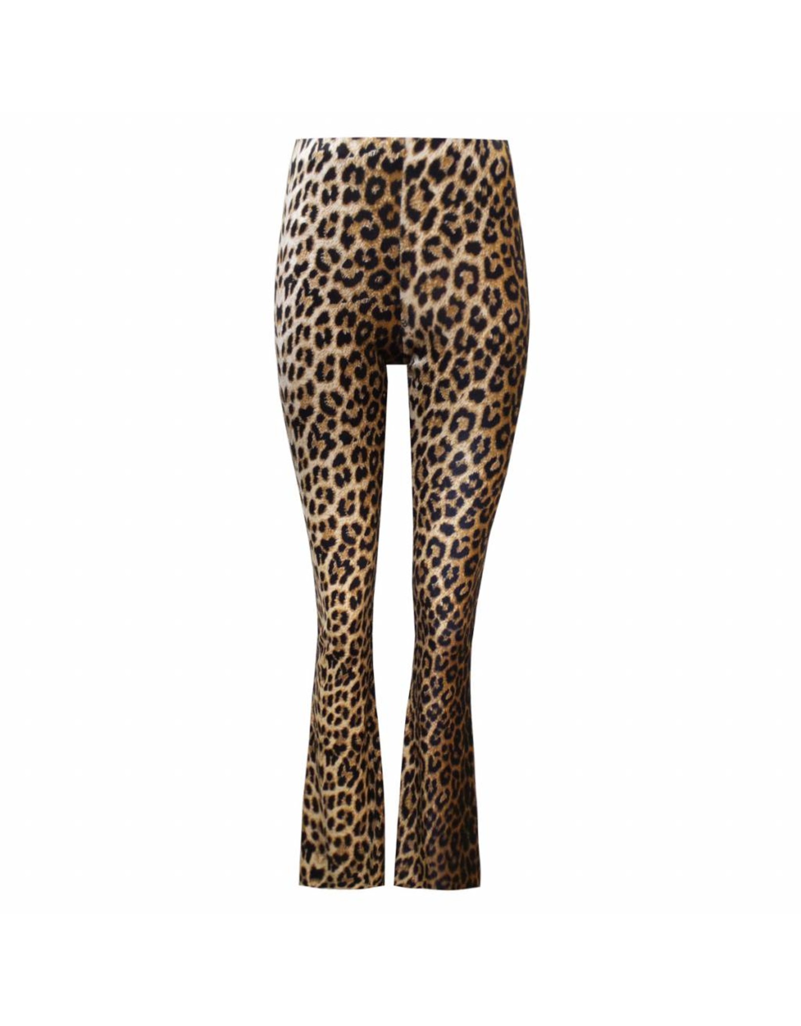 flared pants panter