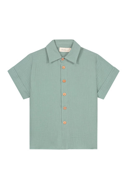 Blouse charles mold green