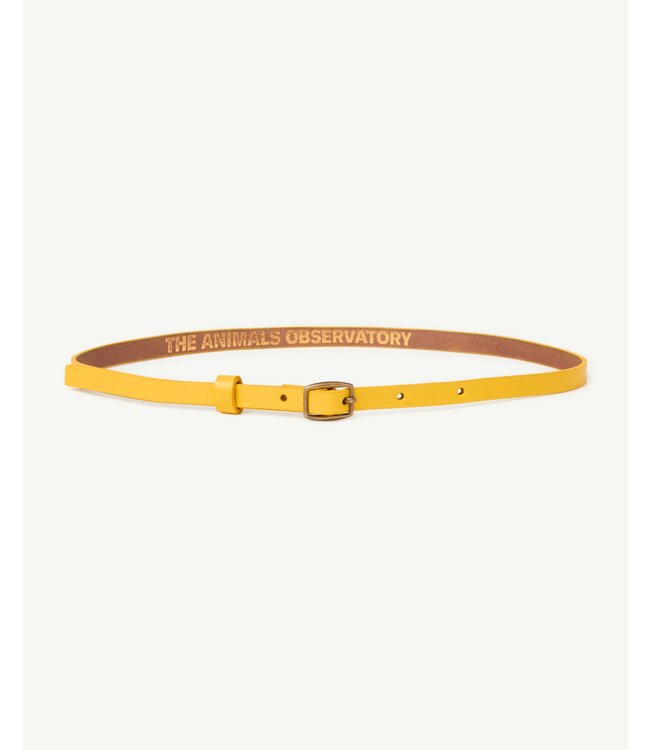 Belt yellow ibis