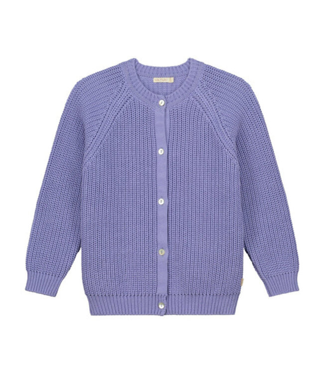 Yuki Yuki raglan cardigan purple