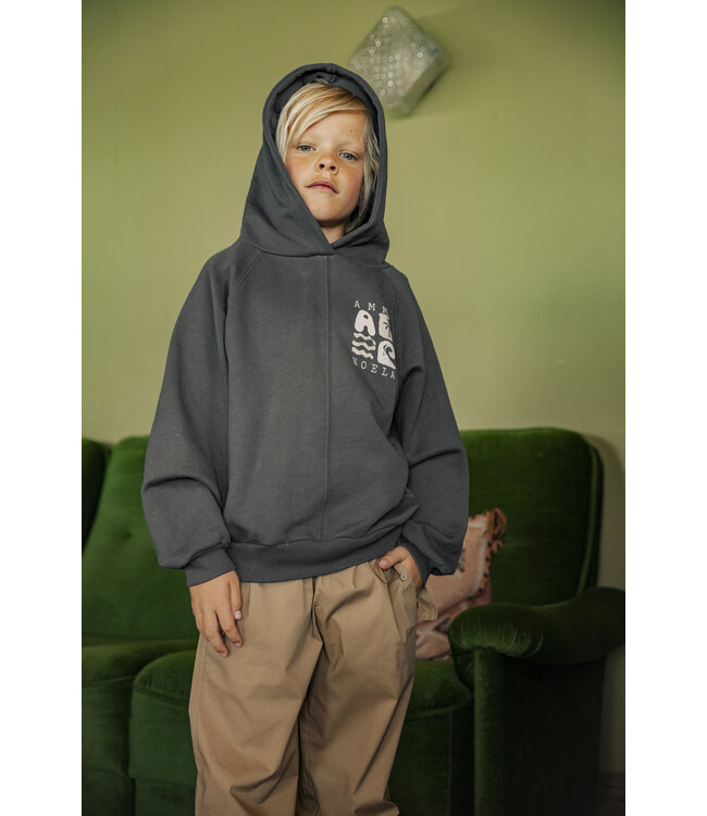 Ammehoela Ammehoela hoodie ernest volcanic ash