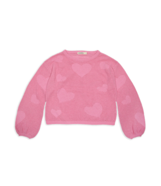 Ammehoela Ammehoela longsleeve jennifer cotton candy