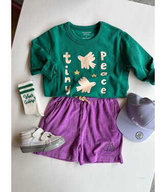 Flatlay peace doves