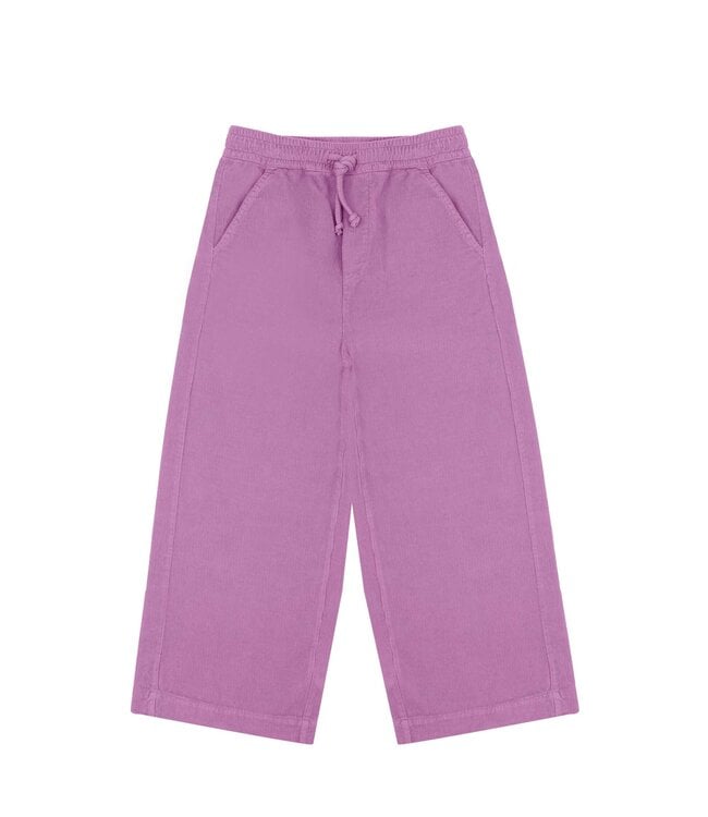 Jenest cammie pants corduroy grape purple