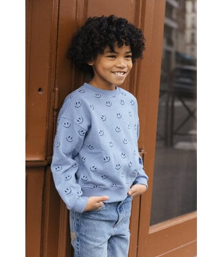 Charlie Petite jackson sweater dusty blue