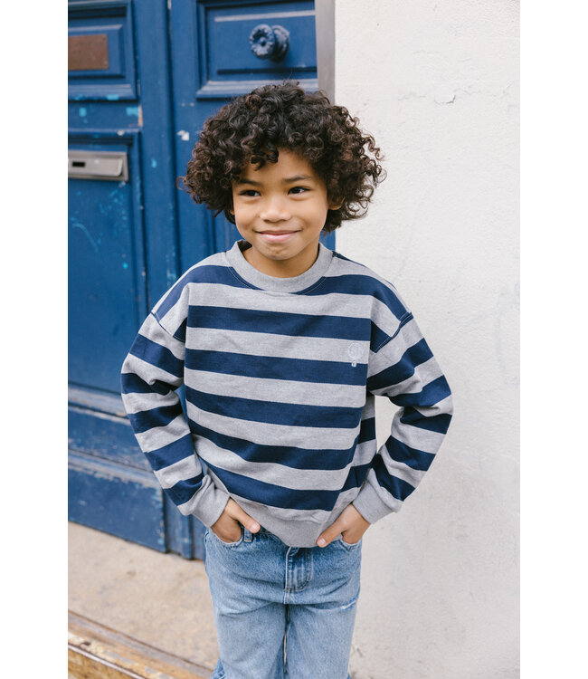 Charlie Petite jackson sweater grey/indigo stripe