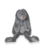 rabbit richie grey