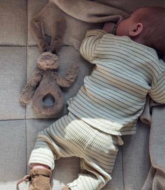 Happy Horse Rattle rabbit richie clay