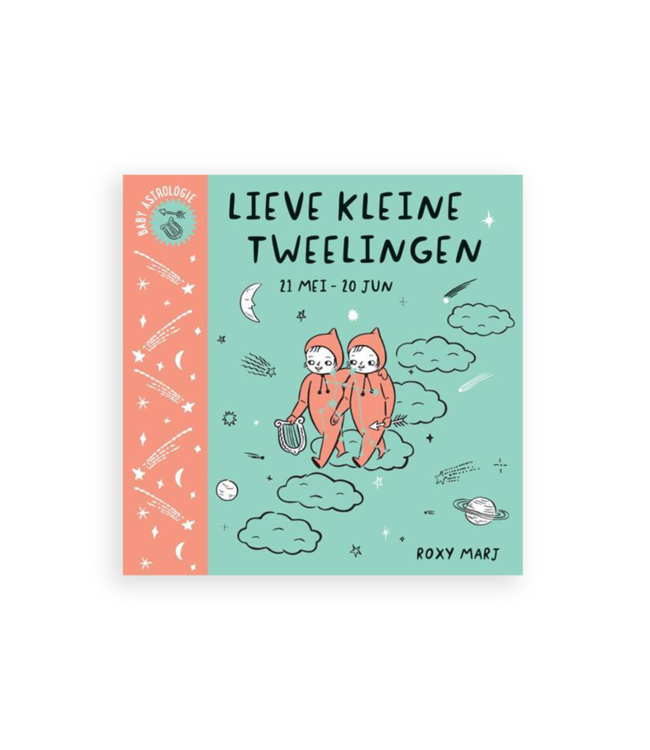 Boek lieve kleine tweelingen