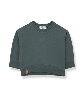 1+ in the family Sweater esteban petroleum