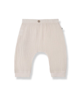 1+ in the family Pants guiseppe nude