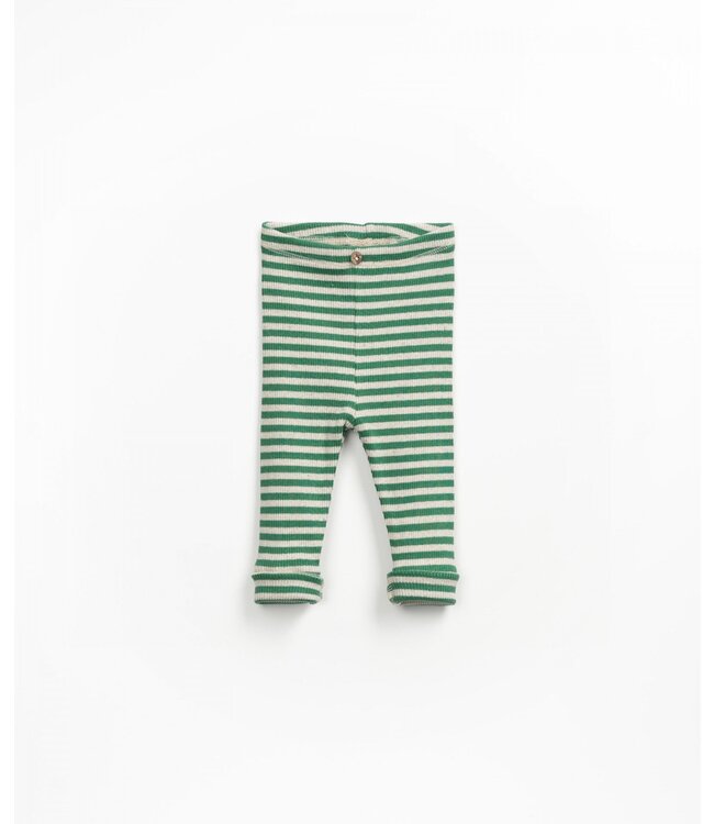 Legging Striped Rib Green Beige