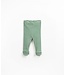 Legging Striped Rib Green Beige