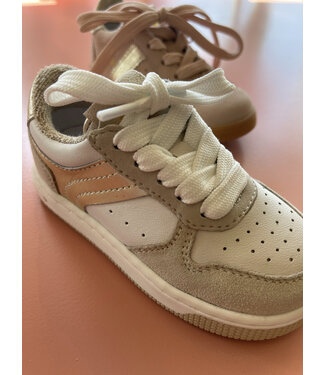 Pinocchio Pinocchio Sneaker Beige - Combi G