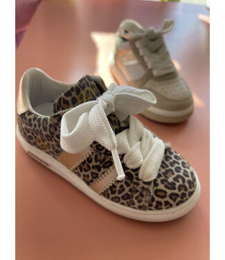 Pinocchio Pinocchio Sneaker Beige - Combi Y