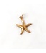 Charm | Starfish