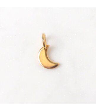 Love Issue Charm | Moon
