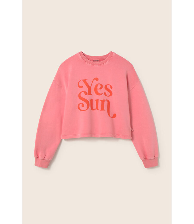 cotton fleece print puffed sweatshirt