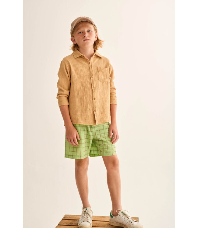 slub plaid poplin bermuda shorts