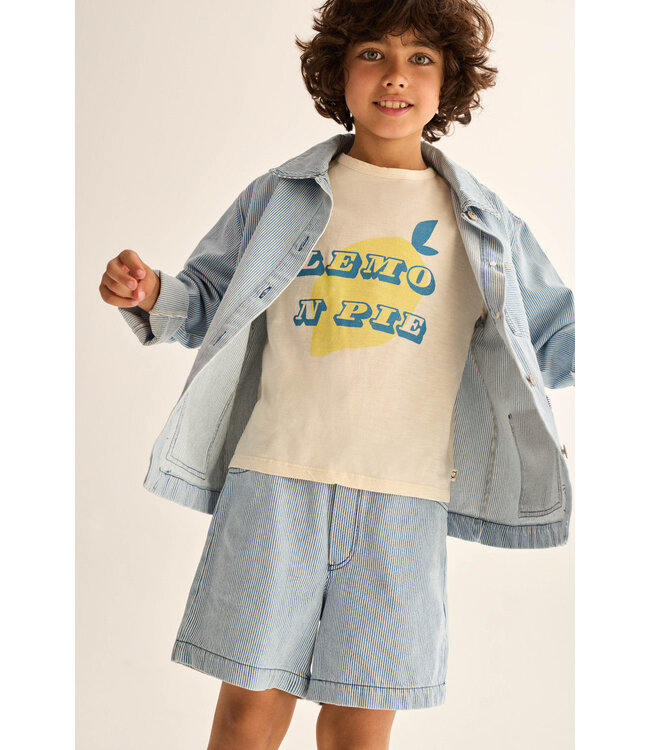 fine striped denim bermuda shorts