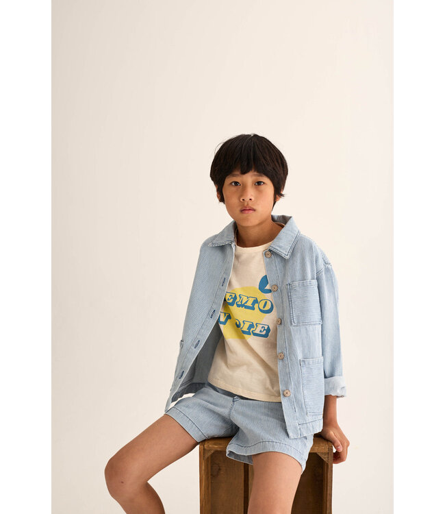 fine striped denim bermuda shorts