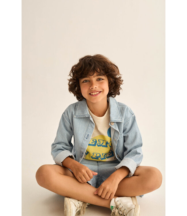 fine striped denim bermuda shorts