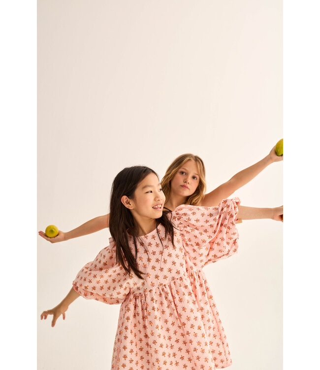 indiana flower print dress