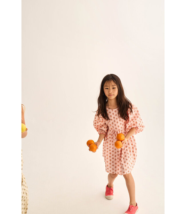 indiana flower print dress