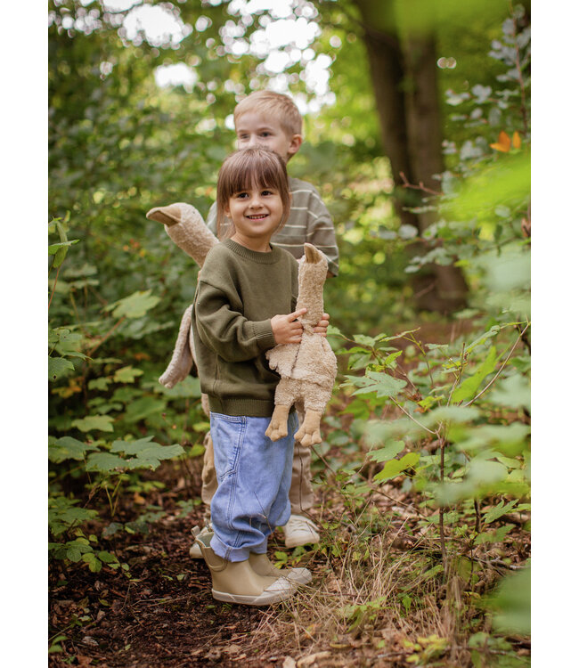 Cuddly animal Goose