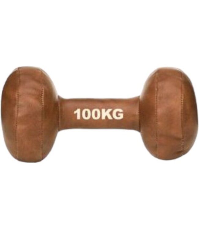 Vintage Dumbbell