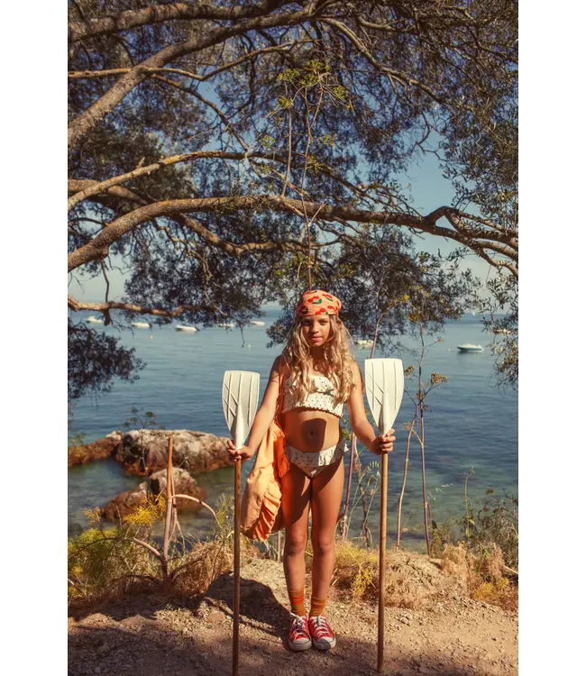 socks camel w/ red striped