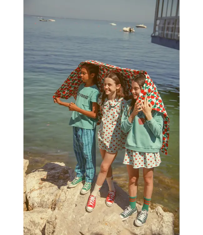 socks green w/ red stripes