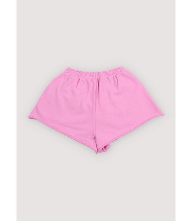 TNS logo short pink lavender