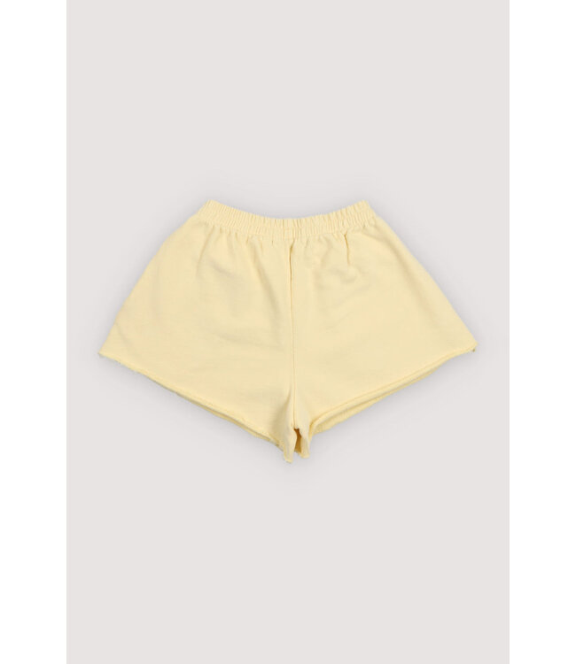 TNS logo short soft lemon