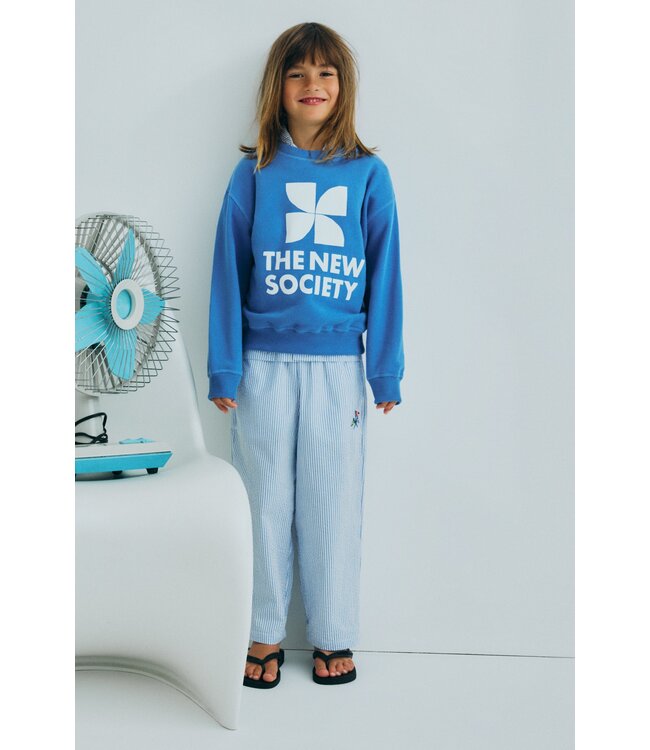 TNS logo Sweatshirt iris whisper