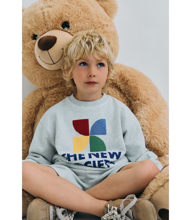 TNS Logo short Light grey melange